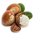 آجیل شیا Shea Nuts